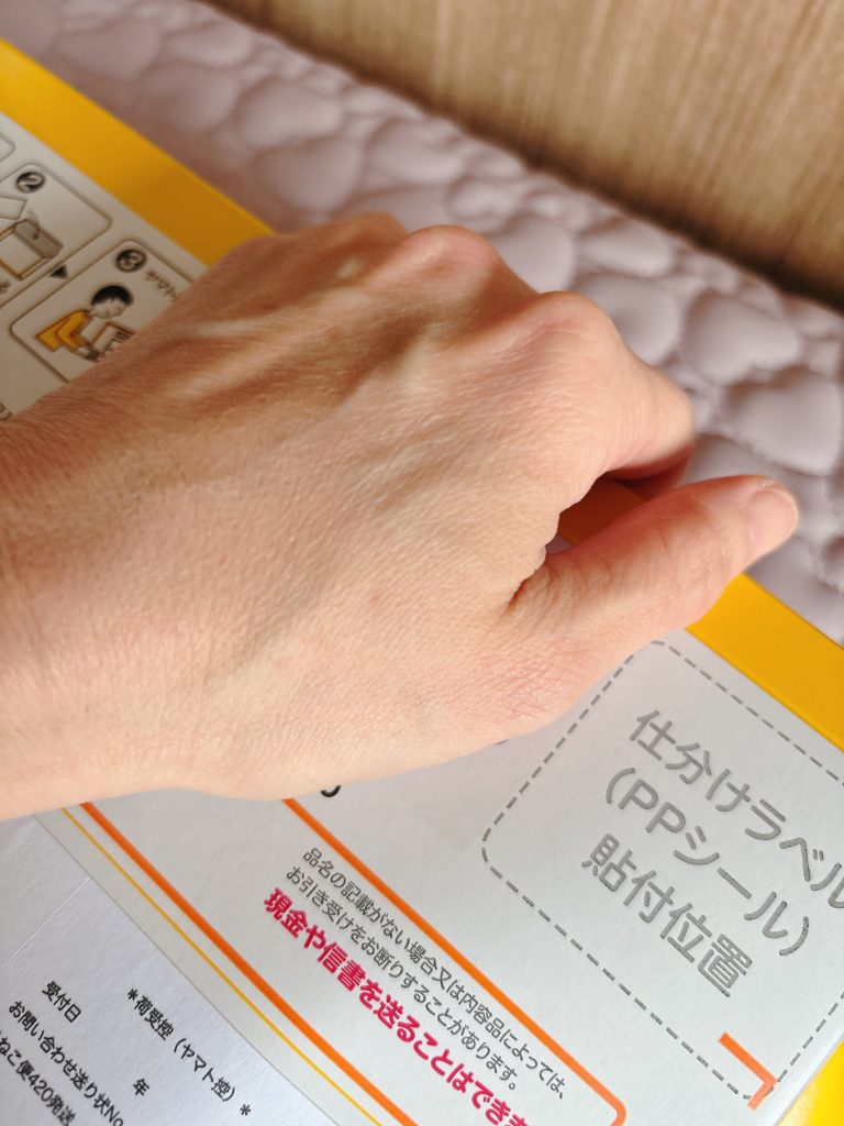 こねこ便封筒の封を閉じて発送準備を整えた画像